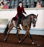 2005 Nationals